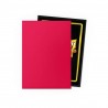 Dragon Shield 100 Fundas Fury DUAL Matte Standard Size